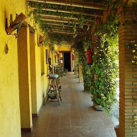 Hotel Rural La Cimbarra Aldeaquemada Екстериор снимка
