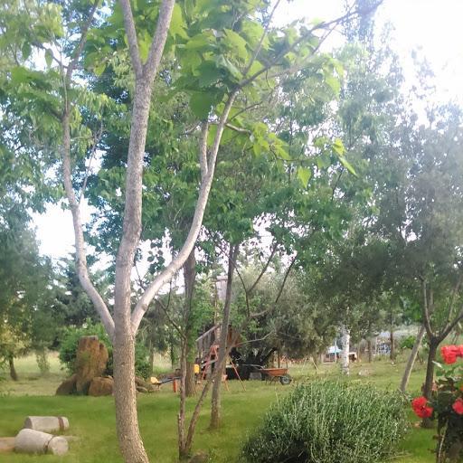 Hotel Rural La Cimbarra Aldeaquemada Екстериор снимка